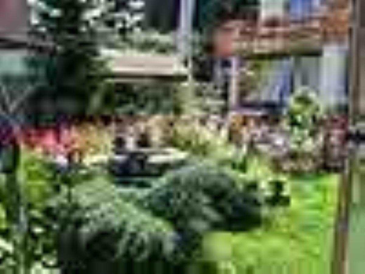 Pension Puschmann Chemnitz Exterior foto
